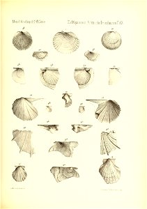 n846_w1150