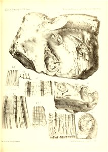 n394_w1150