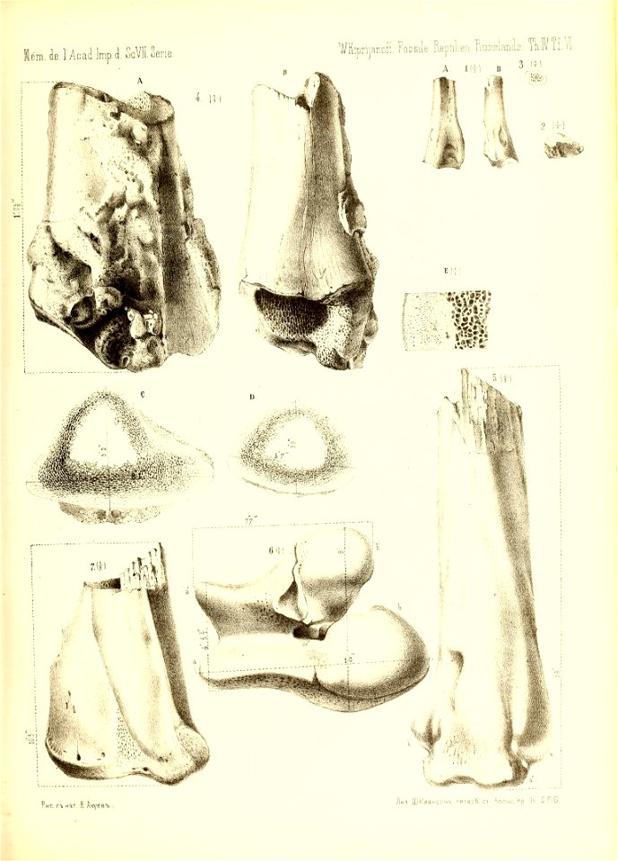 n462_w1150