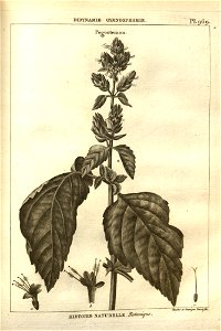 n221_w1150