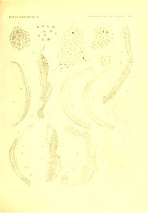 n1022_w1150