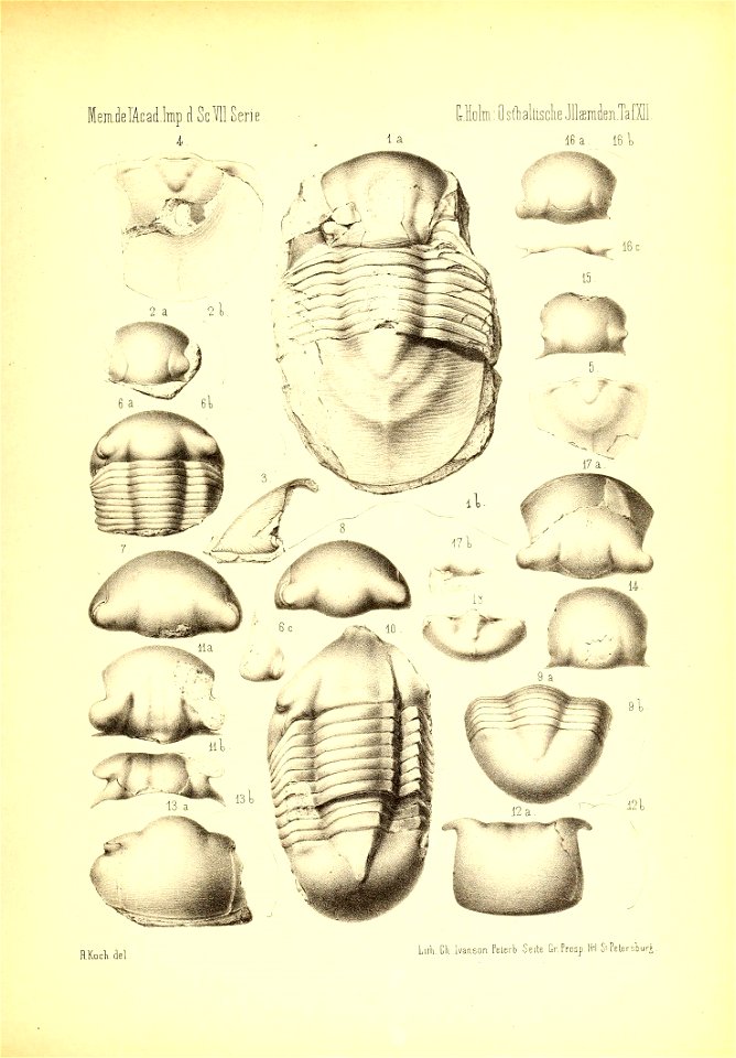 n1102_w1150
