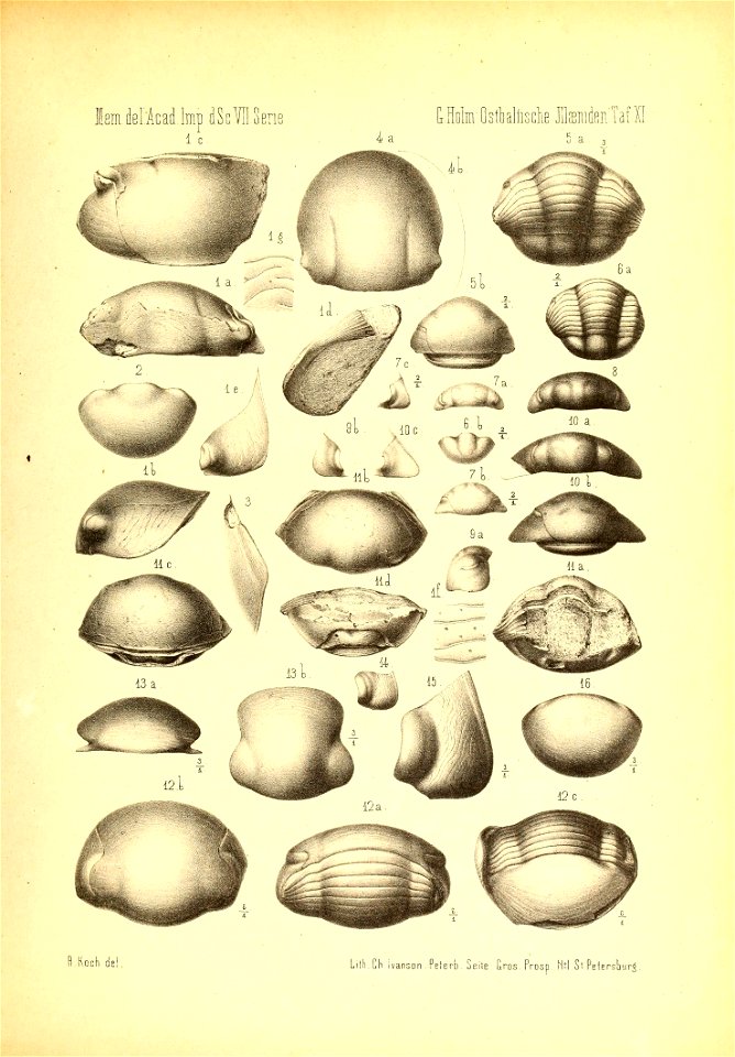 n1098_w1150