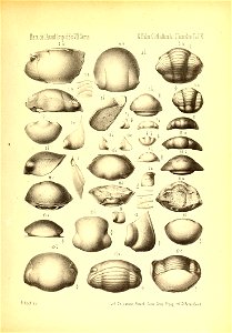 n1098_w1150