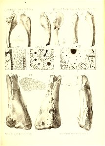 n458_w1150