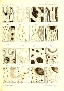 n390_w1150