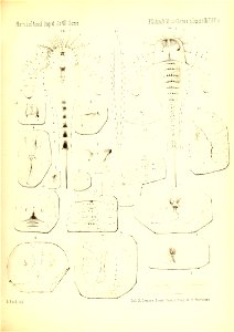 n276_w1150