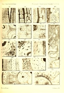 n586_w1150