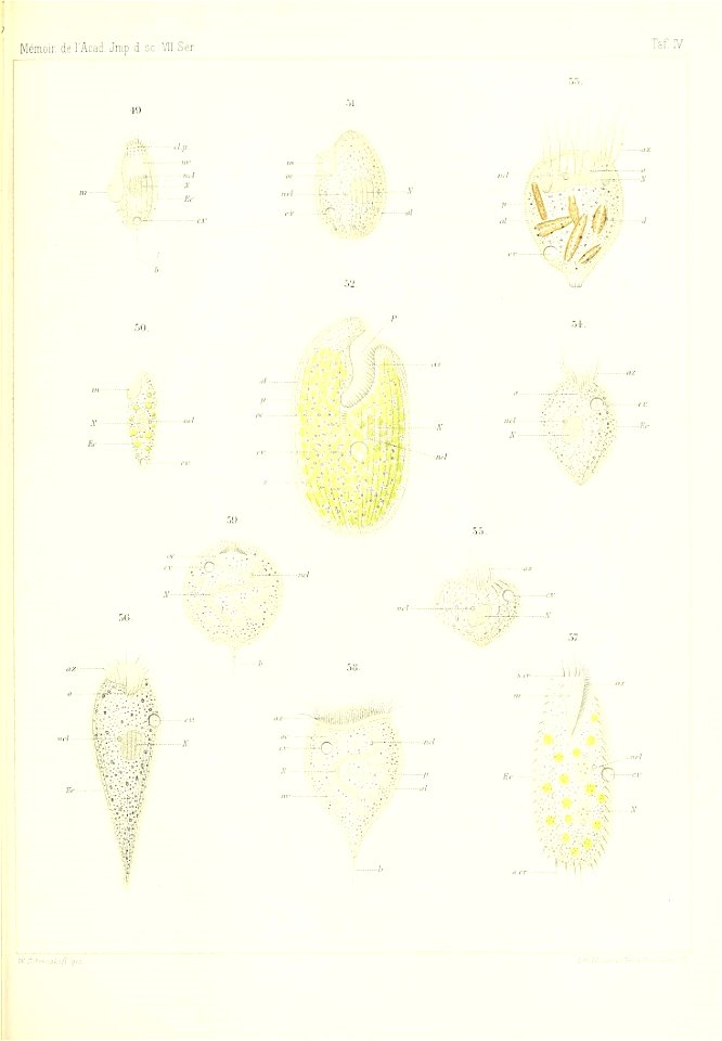 n984_w1150
