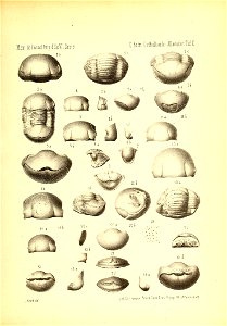 n1094_w1150