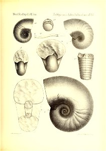 n834_w1150