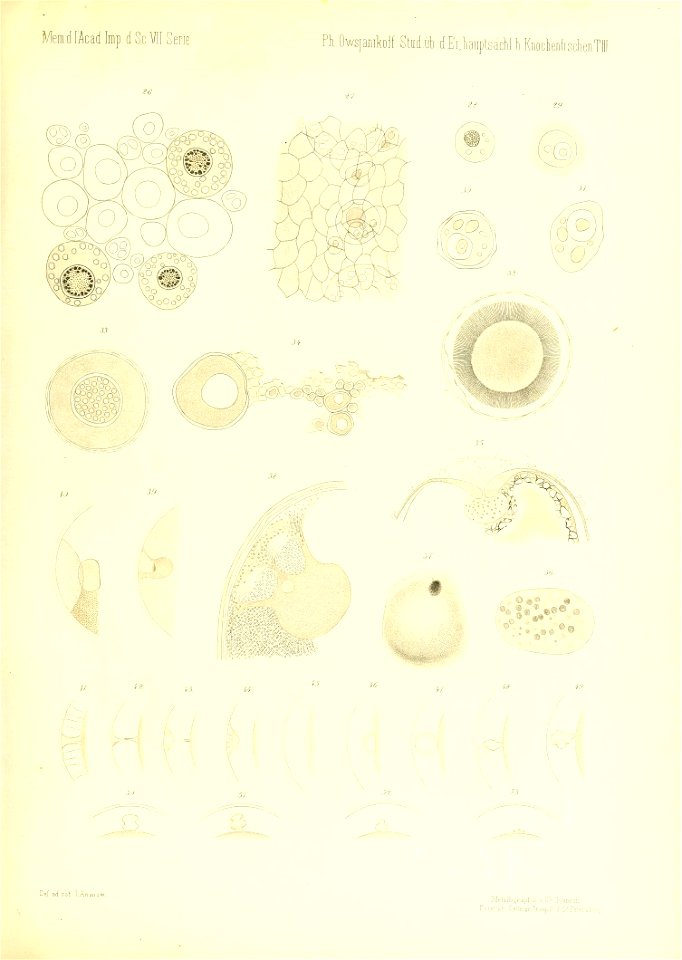 n278_w1150