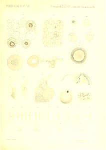 n278_w1150