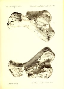 n456_w1150