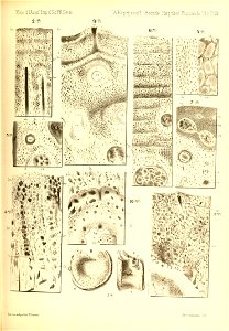 n584_w1150