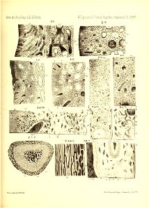 n802_w1150