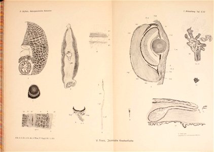 n196_w1150