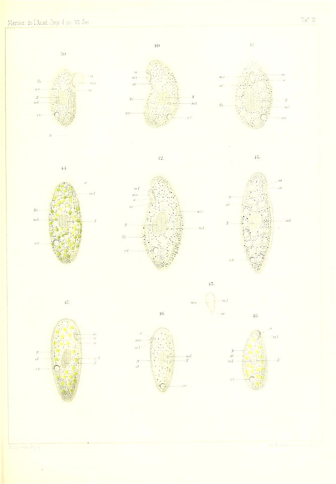 n982_w1150