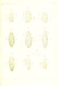 n982_w1150