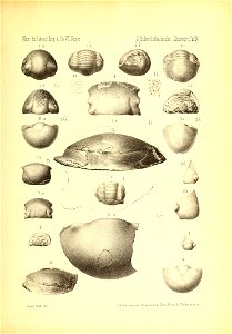 n1090_w1150