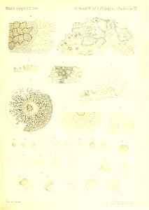 n276_w1150