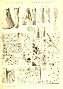 n454_w1150