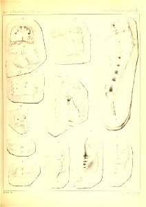 n268_w1150
