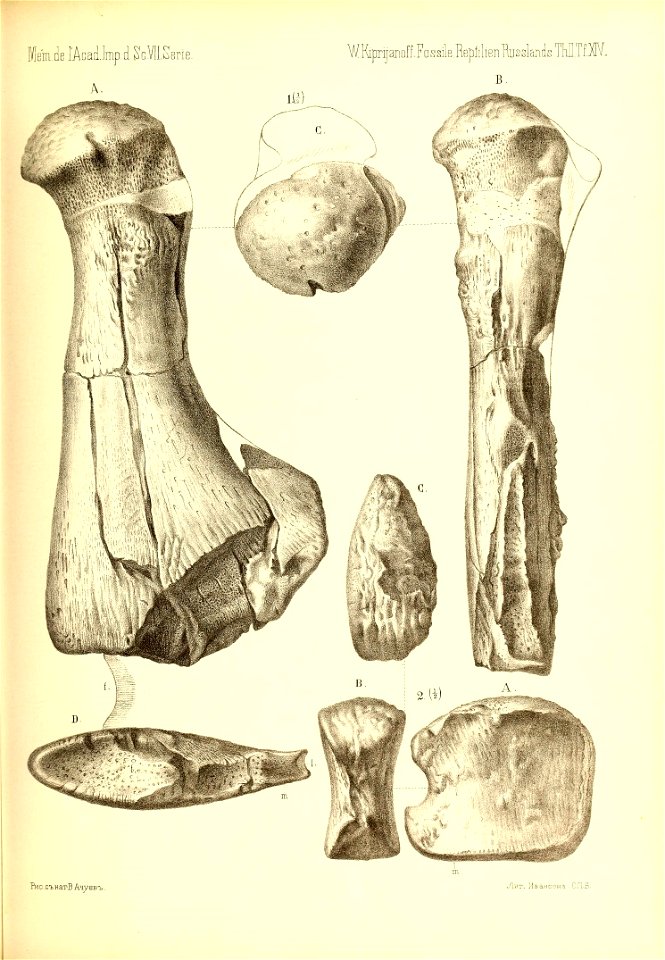 n582_w1150