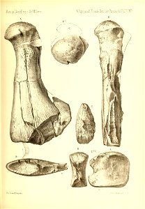 n582_w1150