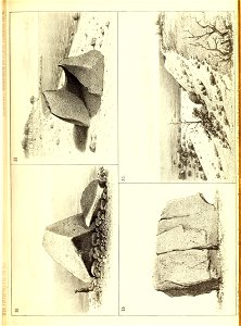 n486_w1150