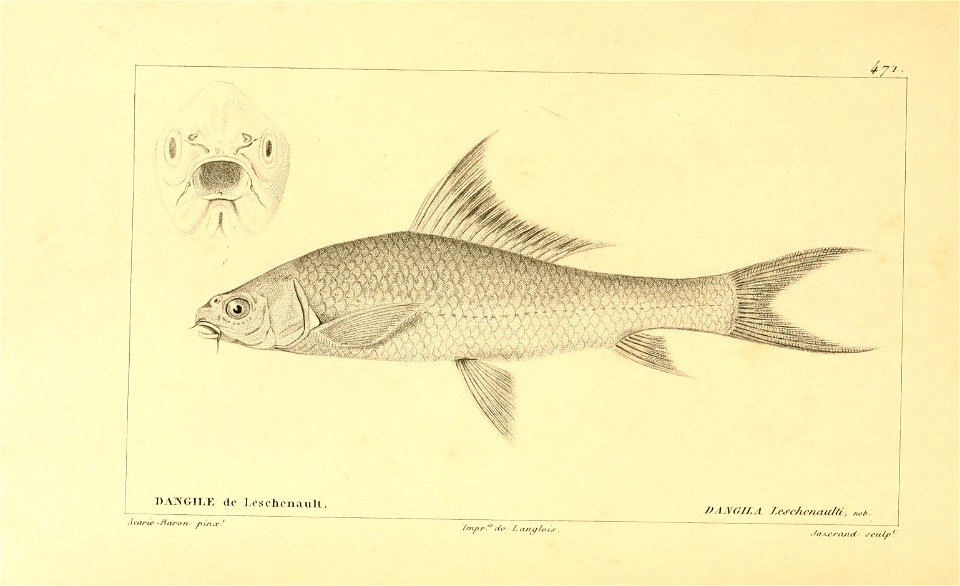 n268_w1150