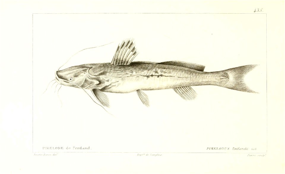 n200_w1150