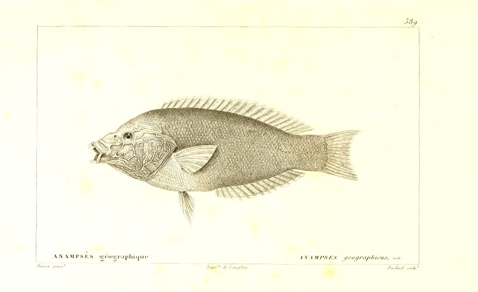 n110_w1150