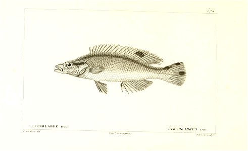 n80_w1150