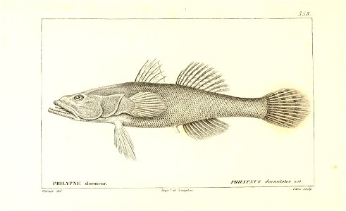 n50_w1150