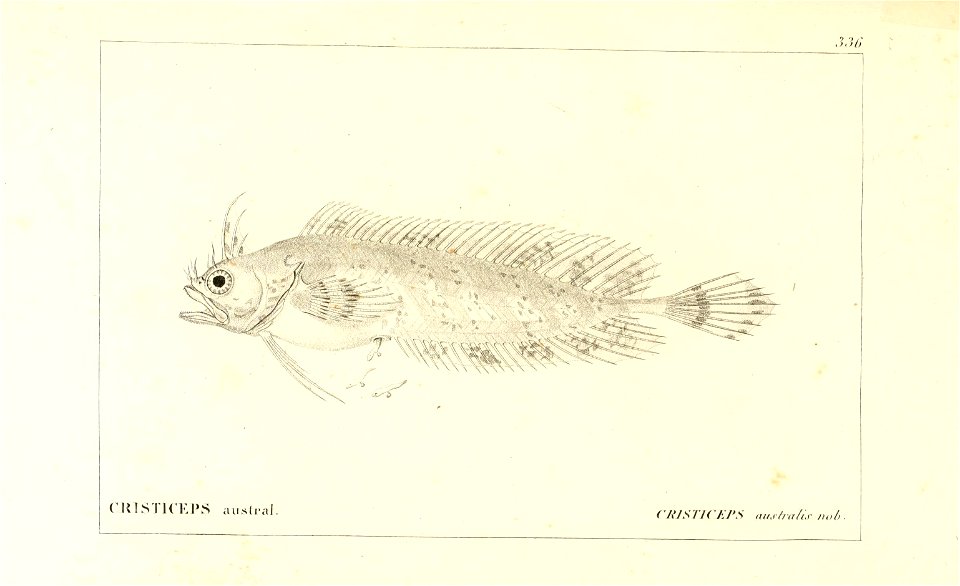 n20_w1150
