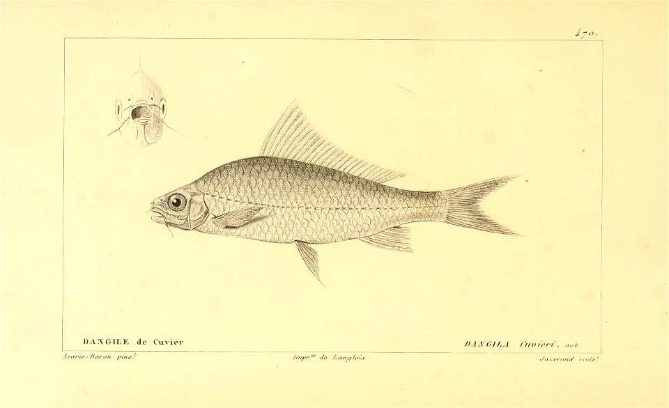 n266_w1150
