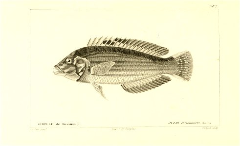 n106_w1150