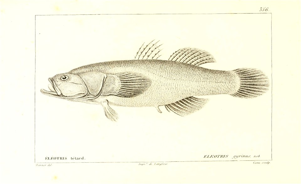 n46_w1150