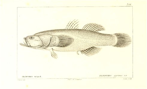 n46_w1150