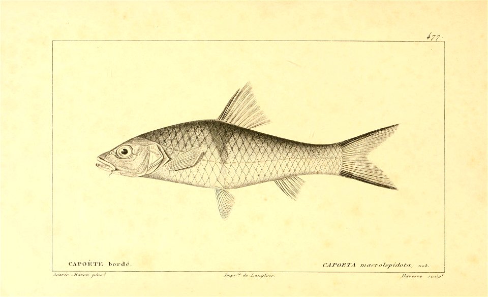 n280_w1150