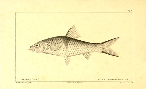 n280_w1150