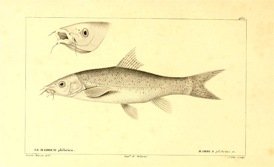 n250_w1150