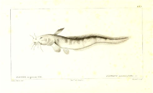 n224_w1150