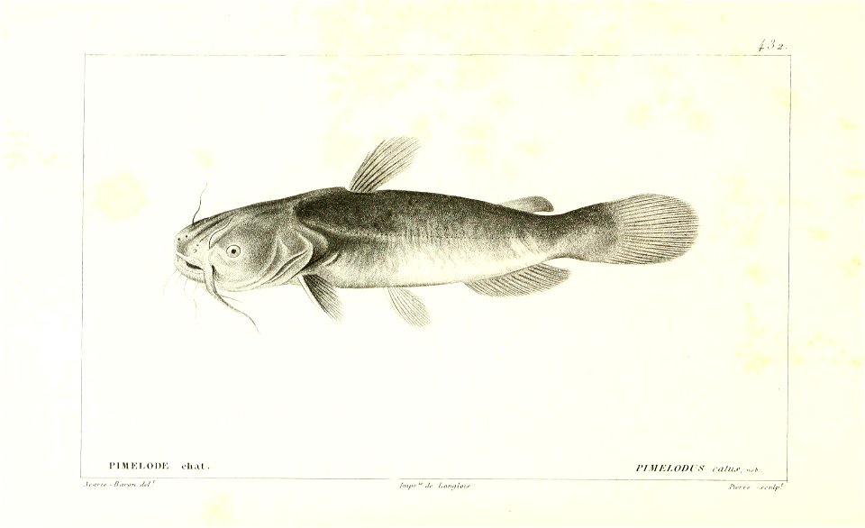 n194_w1150