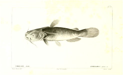 n194_w1150