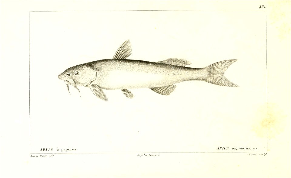 n192_w1150