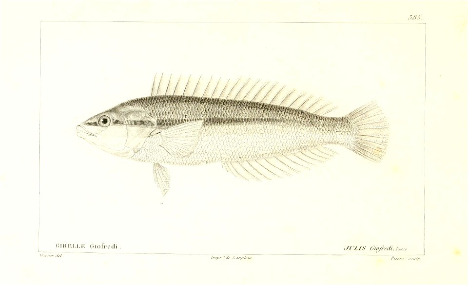 n102_w1150