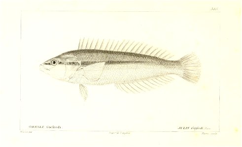 n102_w1150