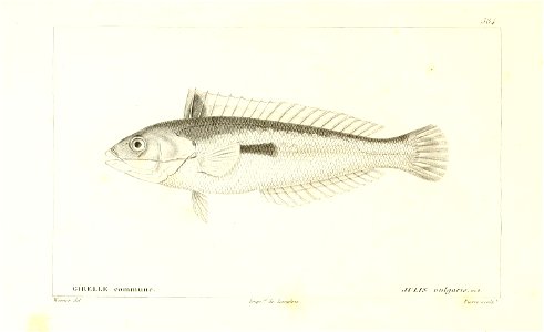 n100_w1150